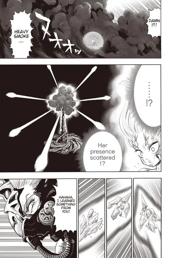 Read One Punch Man chapter 134.2 image 6 on Lezhin