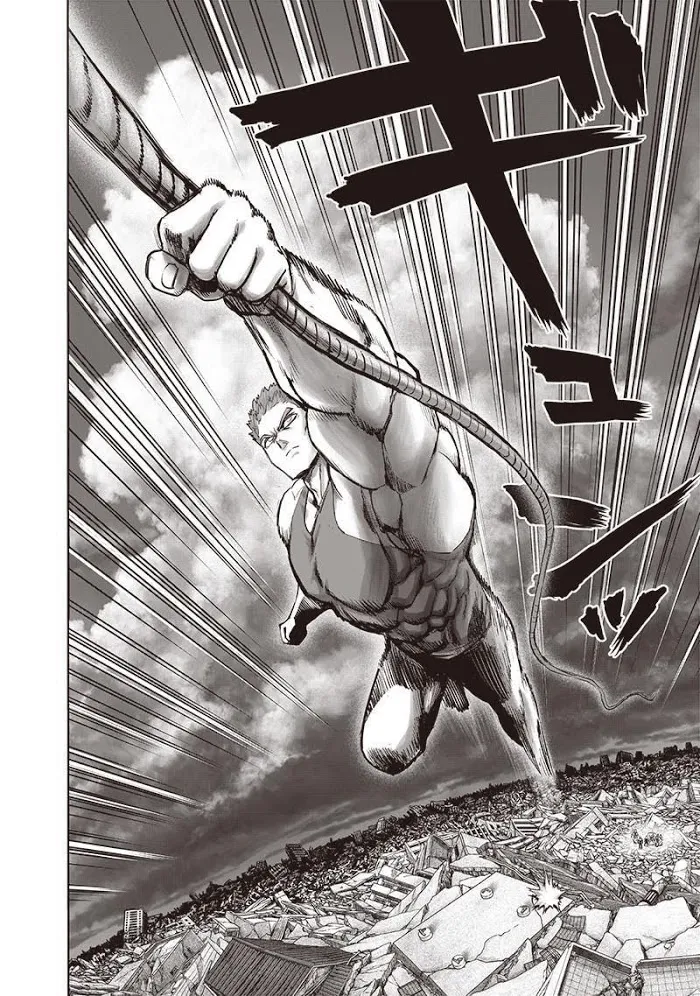 Read One Punch Man chapter 134.3 image 16 on Lezhin