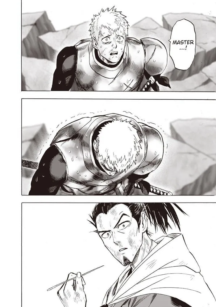 Read One Punch Man chapter 134.3 image 6 on Lezhin
