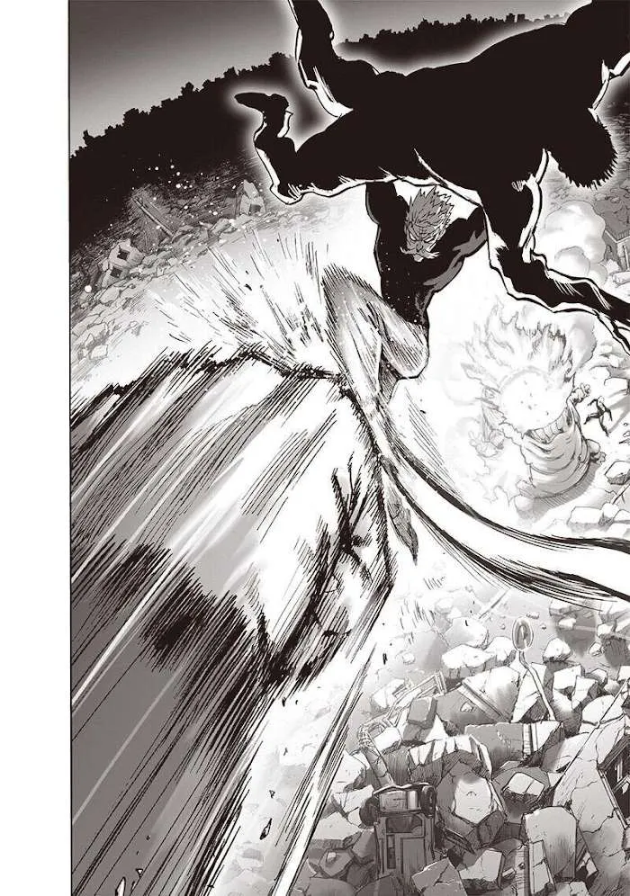 Read One Punch Man chapter 144.2 image 10 on Lezhin