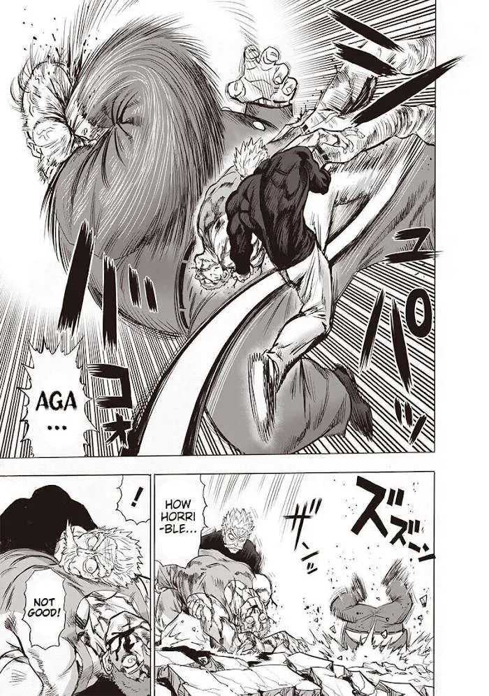 Read One Punch Man chapter 144.2 image 11 on Lezhin