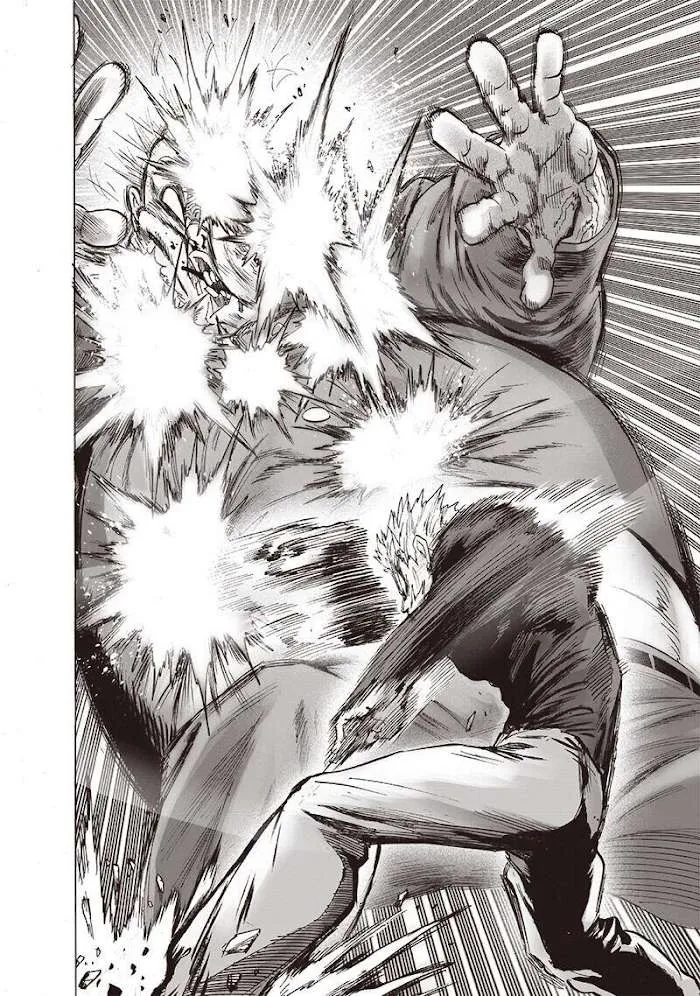 Read One Punch Man chapter 144.2 image 17 on Lezhin
