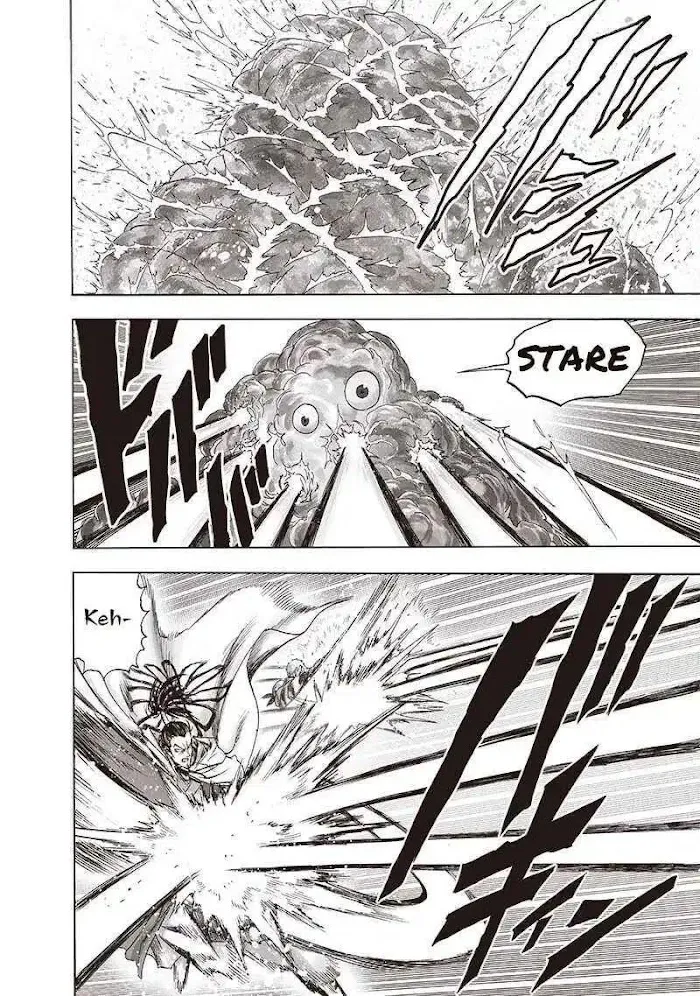 Read One Punch Man chapter 145.1 image 2 on Lezhin