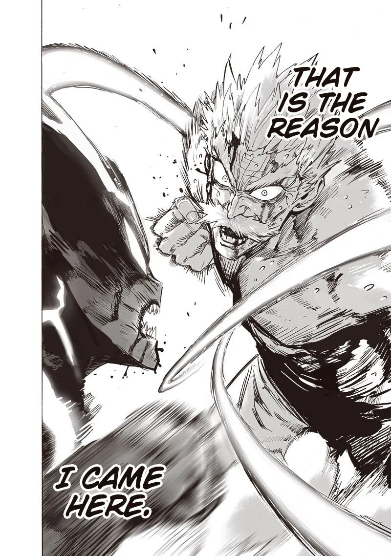 Read One Punch Man chapter 152.99 image 17 on Lezhin