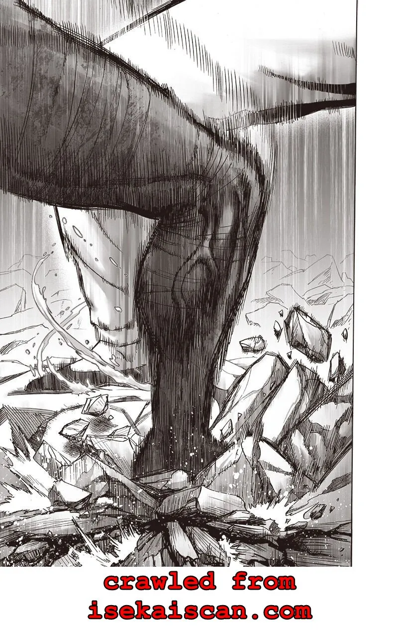Read One Punch Man chapter 152.99 image 3 on Lezhin