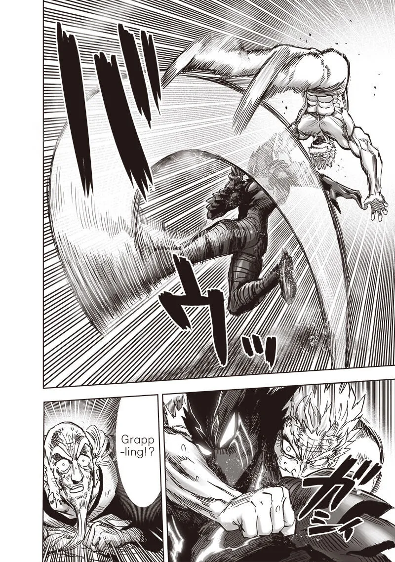 Read One Punch Man chapter 152.99 image 7 on Lezhin