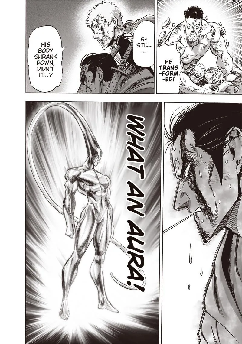 Read One Punch Man chapter 153.99 image 4 on Lezhin