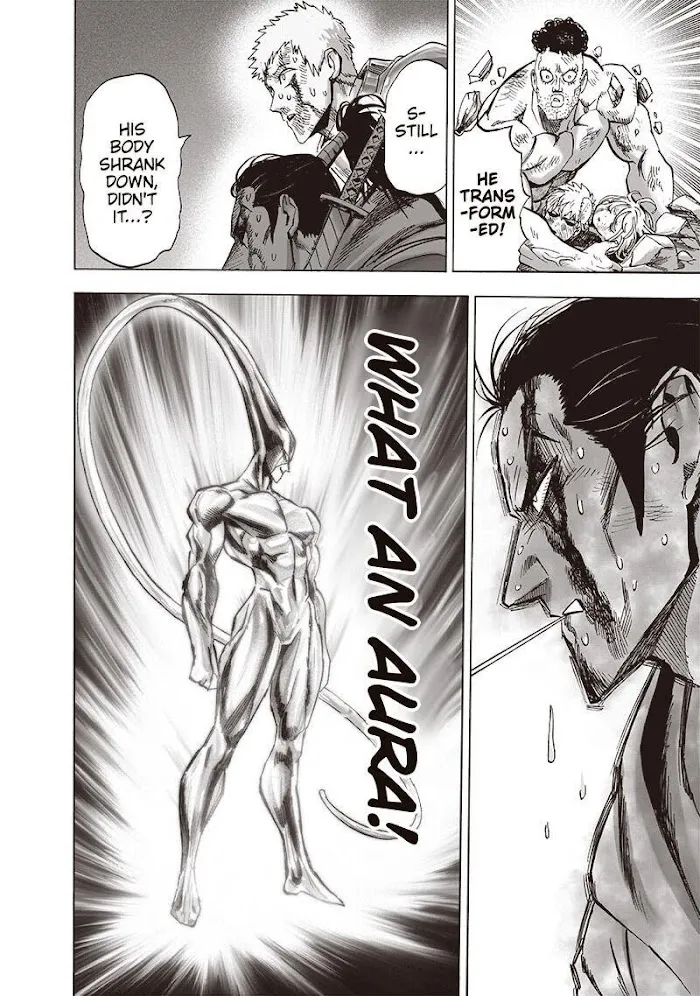 Read One Punch Man chapter 154.1 image 3 on Lezhin