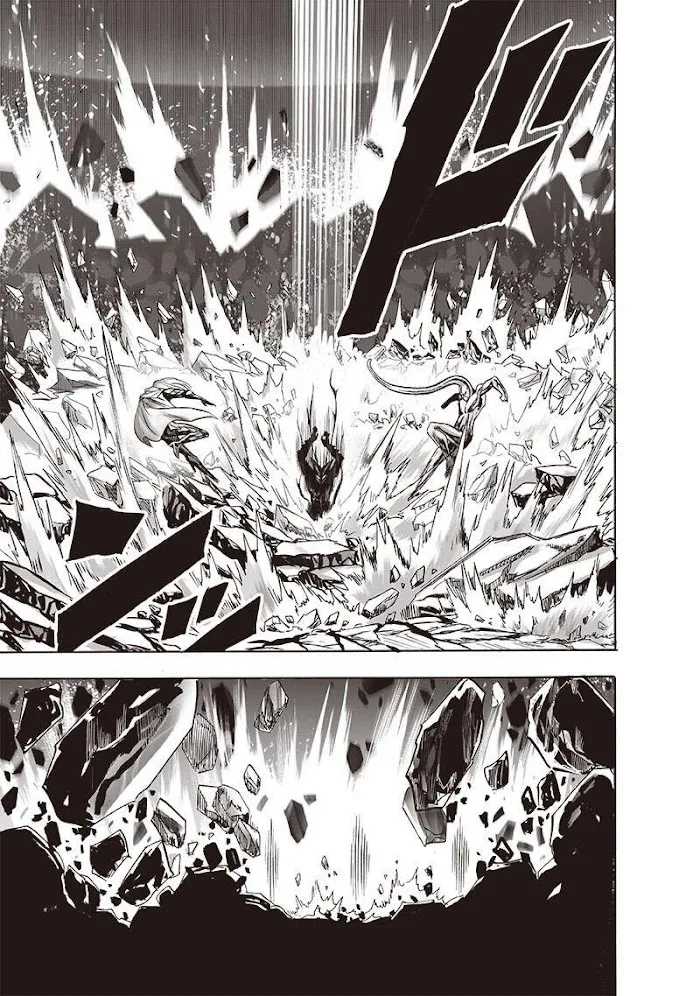 Read One Punch Man chapter 155.1 image 19 on Lezhin