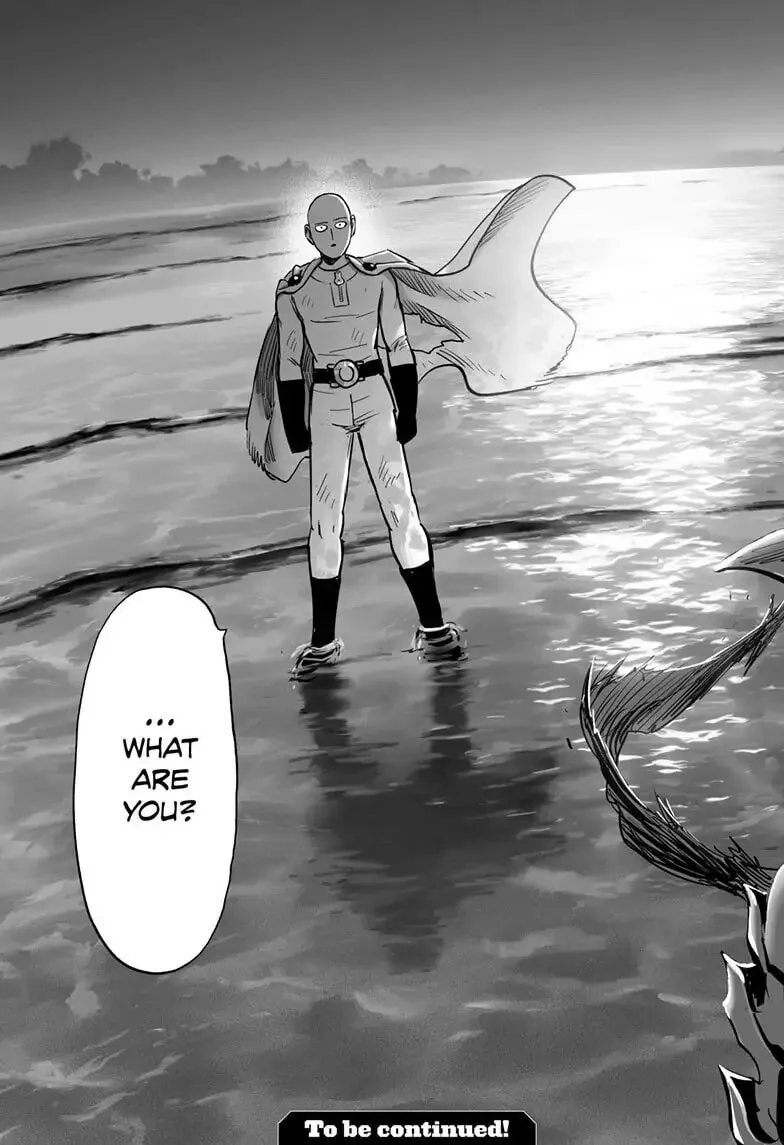 Read One Punch Man chapter 158 image 27 on Lezhin
