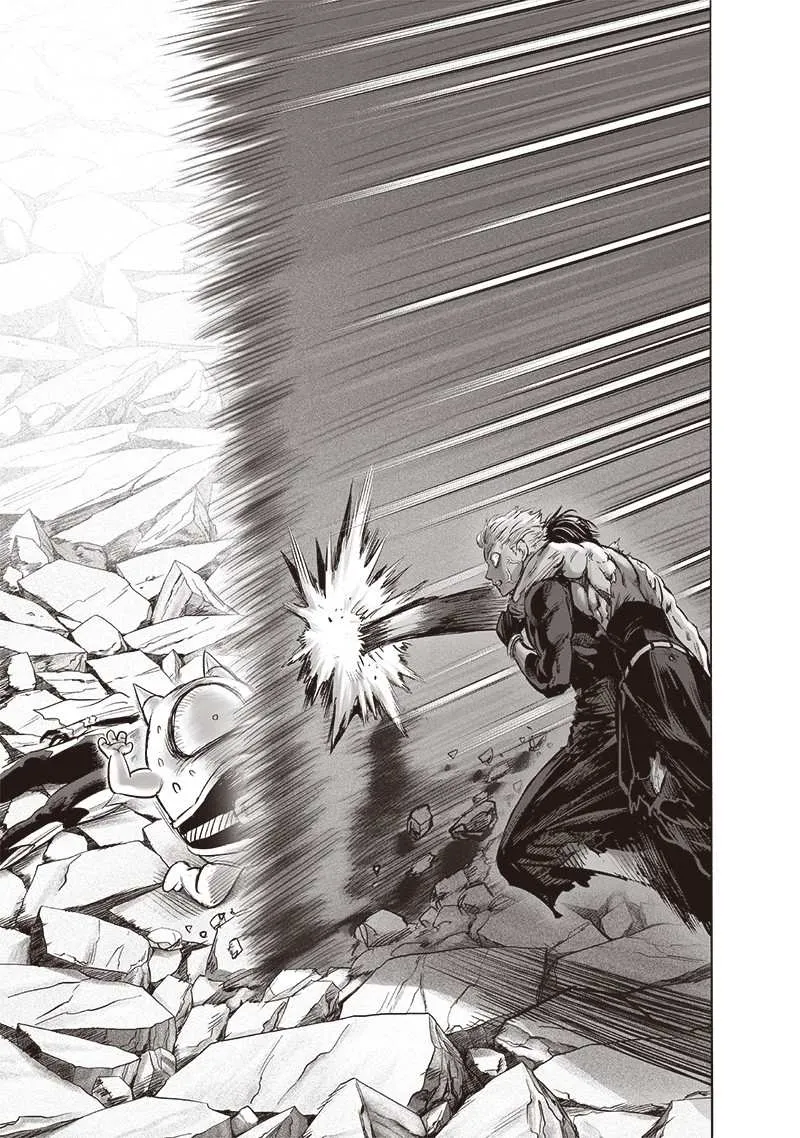 Read One Punch Man chapter 159.1 image 4 on Lezhin