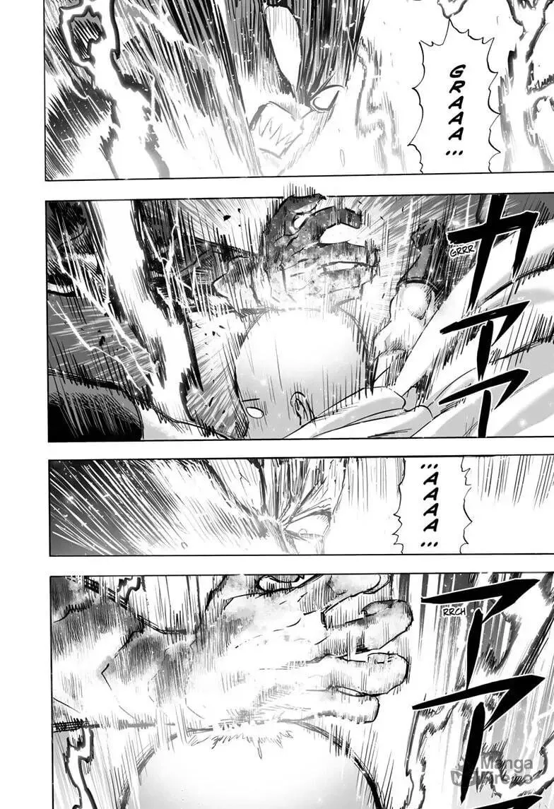 Read One Punch Man chapter 160 image 14 on Lezhin