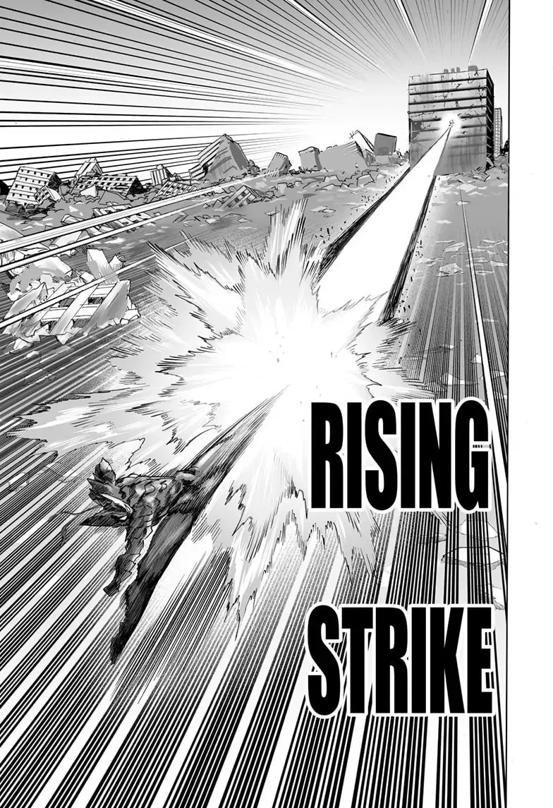 Read One Punch Man chapter 161 image 13 on Lezhin