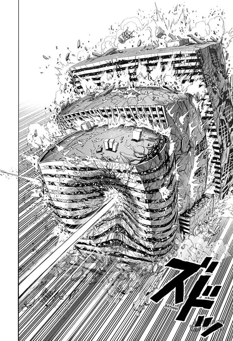 Read One Punch Man chapter 161 image 17 on Lezhin