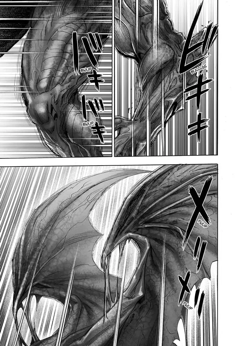 Read One Punch Man chapter 161 image 28 on Lezhin