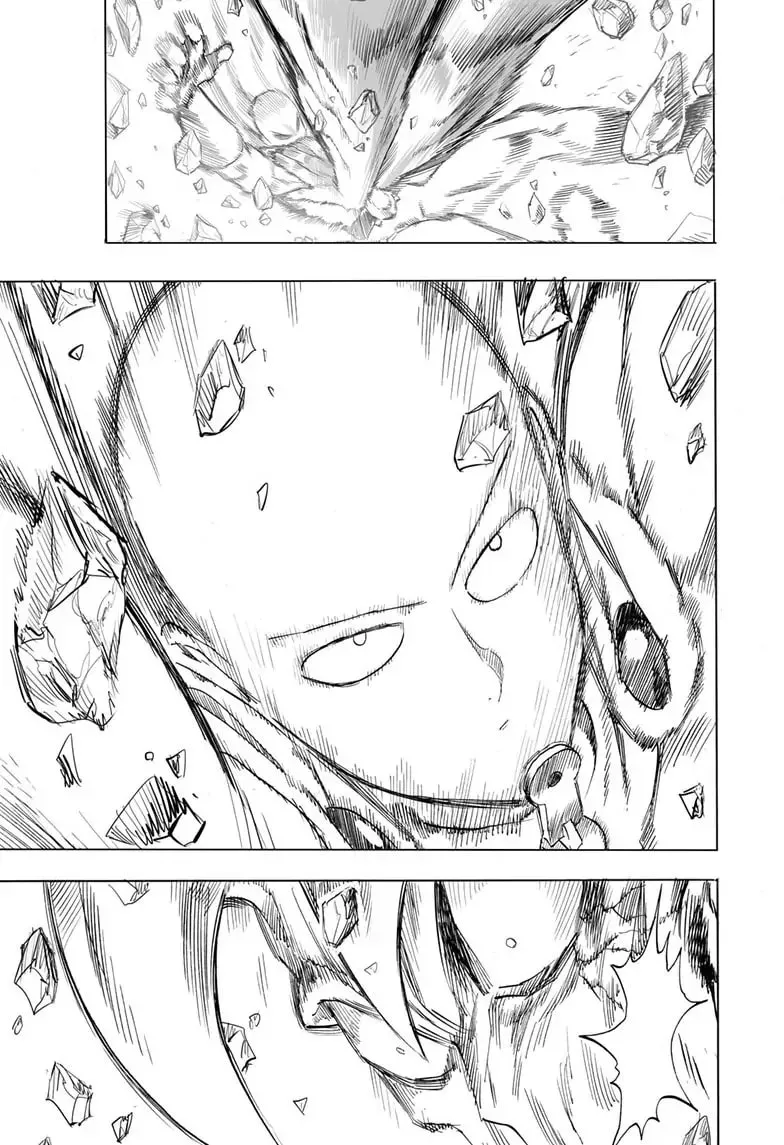 Read One Punch Man chapter 162 image 16 on Lezhin