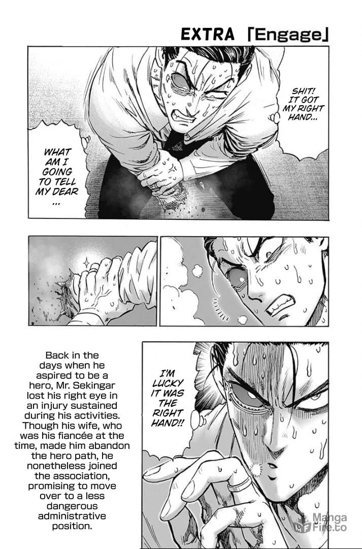 Read One Punch Man chapter 163.5 image 4 on Lezhin
