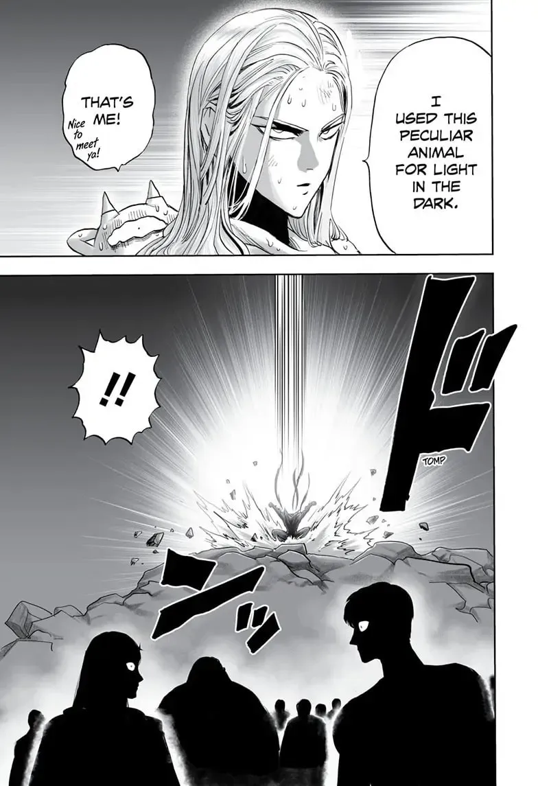 Read One Punch Man chapter 163 image 27 on Lezhin