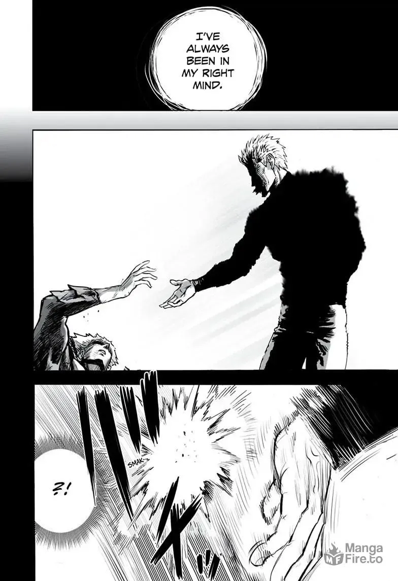 Read One Punch Man chapter 163 image 34 on Lezhin
