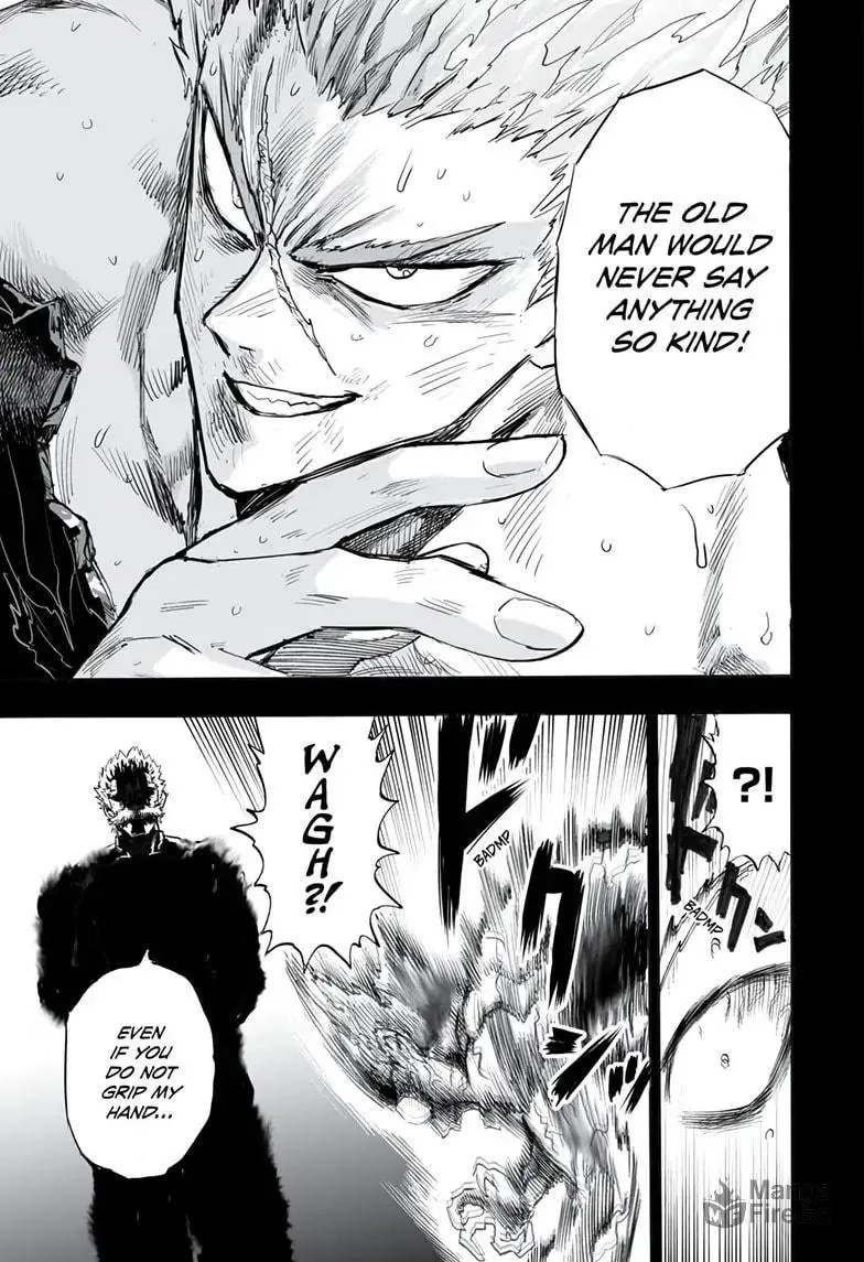 Read One Punch Man chapter 163 image 35 on Lezhin
