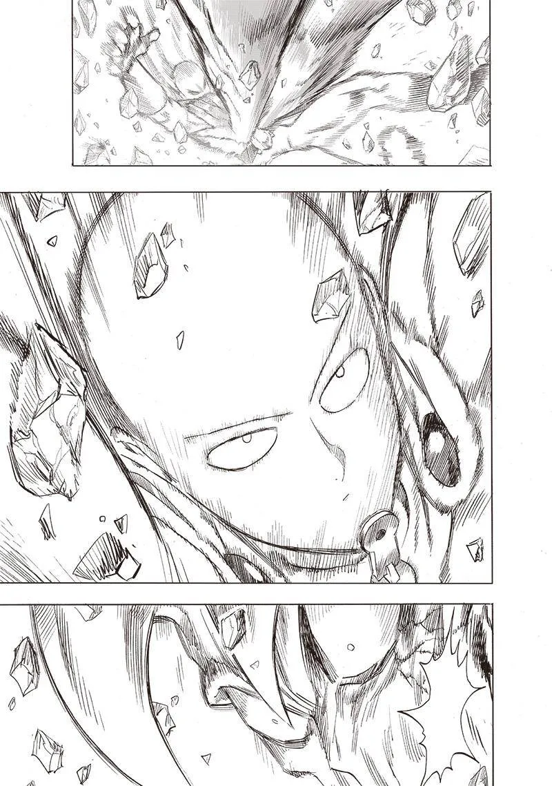 Read One Punch Man chapter 164.1 image 17 on Lezhin
