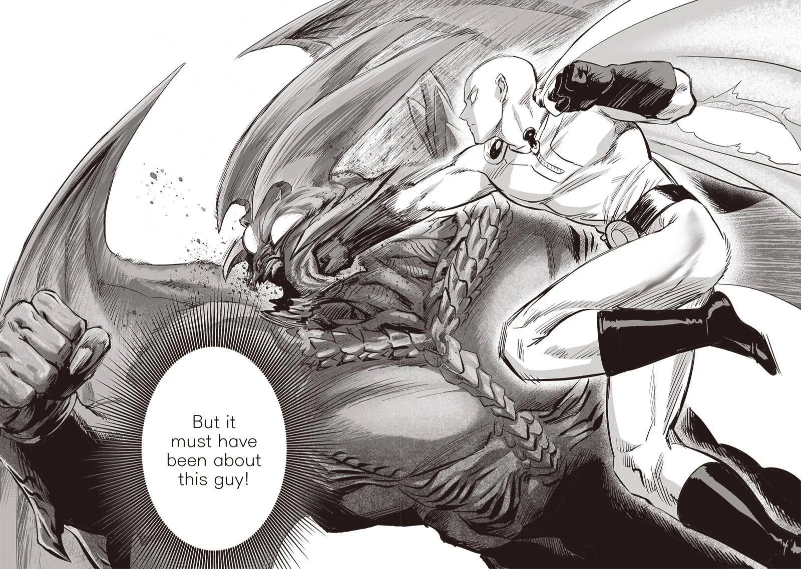 Read One Punch Man chapter 164.1 image 21 on Lezhin