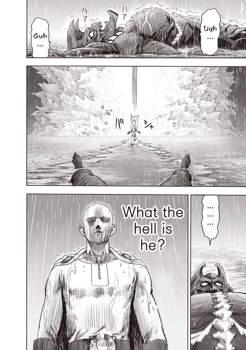 Read One Punch Man chapter 164.1 image 24 on Lezhin