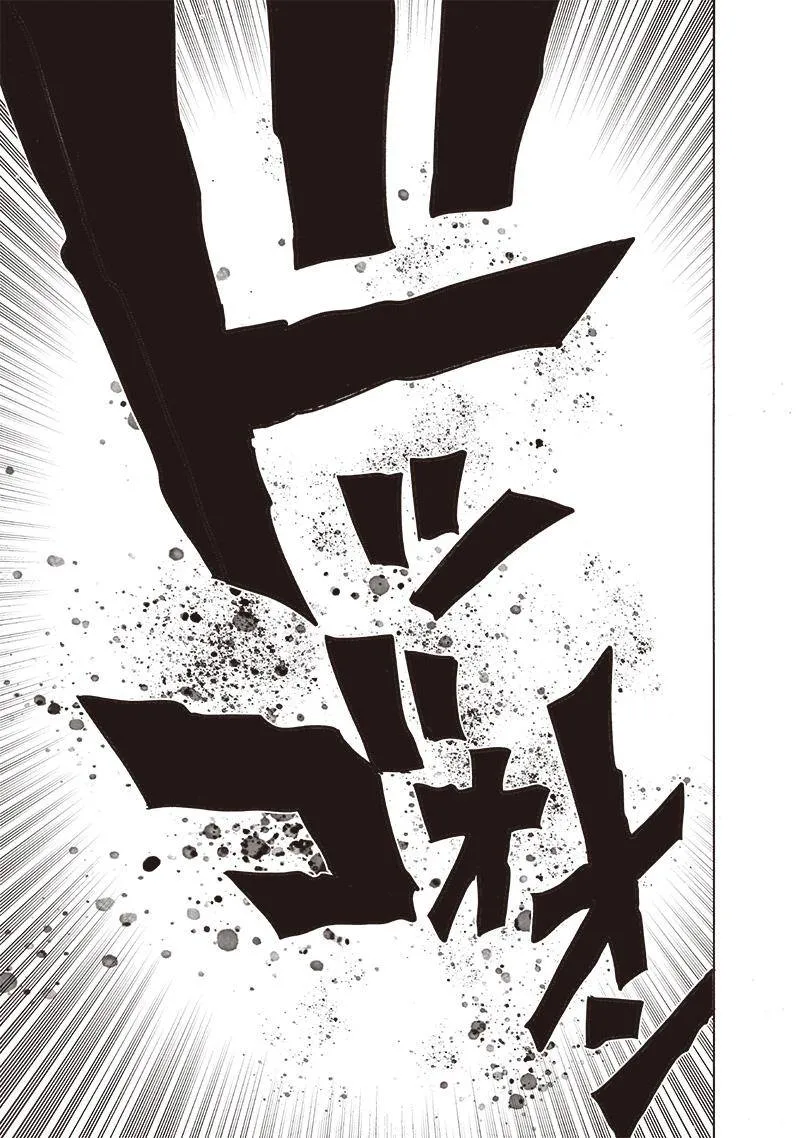 Read One Punch Man chapter 164.1 image 27 on Lezhin