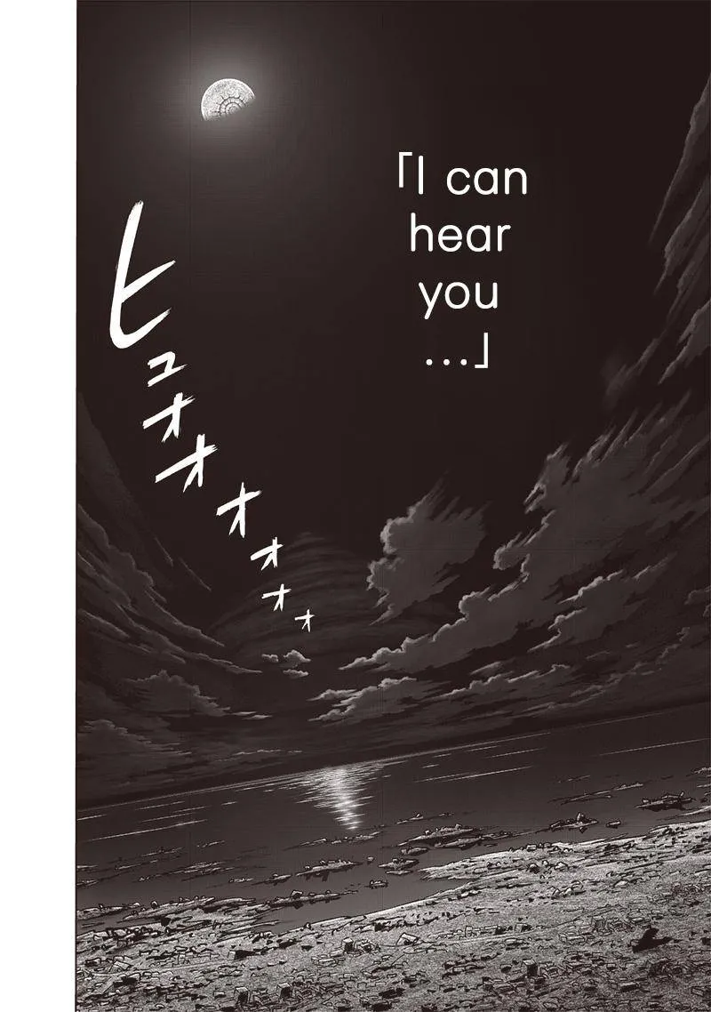 Read One Punch Man chapter 164.1 image 30 on Lezhin