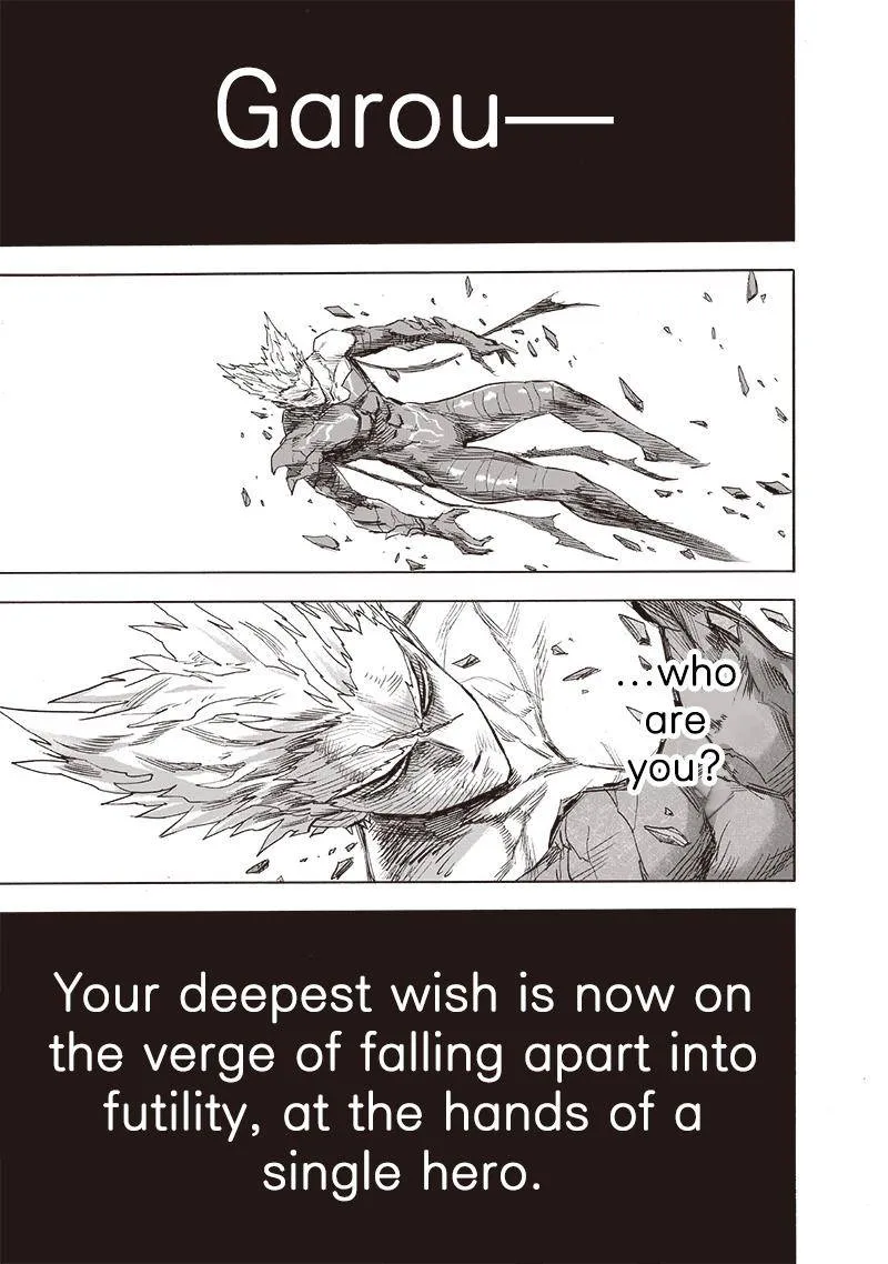 Read One Punch Man chapter 164.1 image 36 on Lezhin