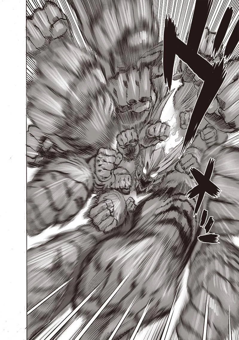 Read One Punch Man chapter 164.1 image 4 on Lezhin