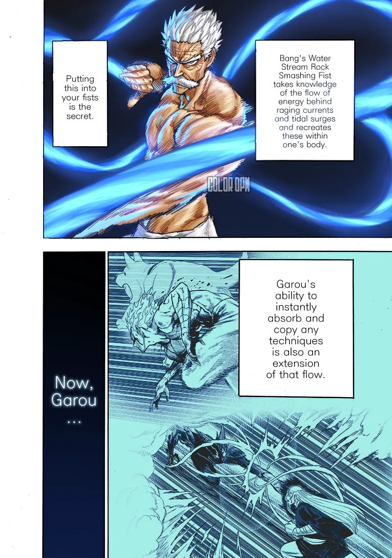 Read One Punch Man chapter 165.2 image 2 on Lezhin