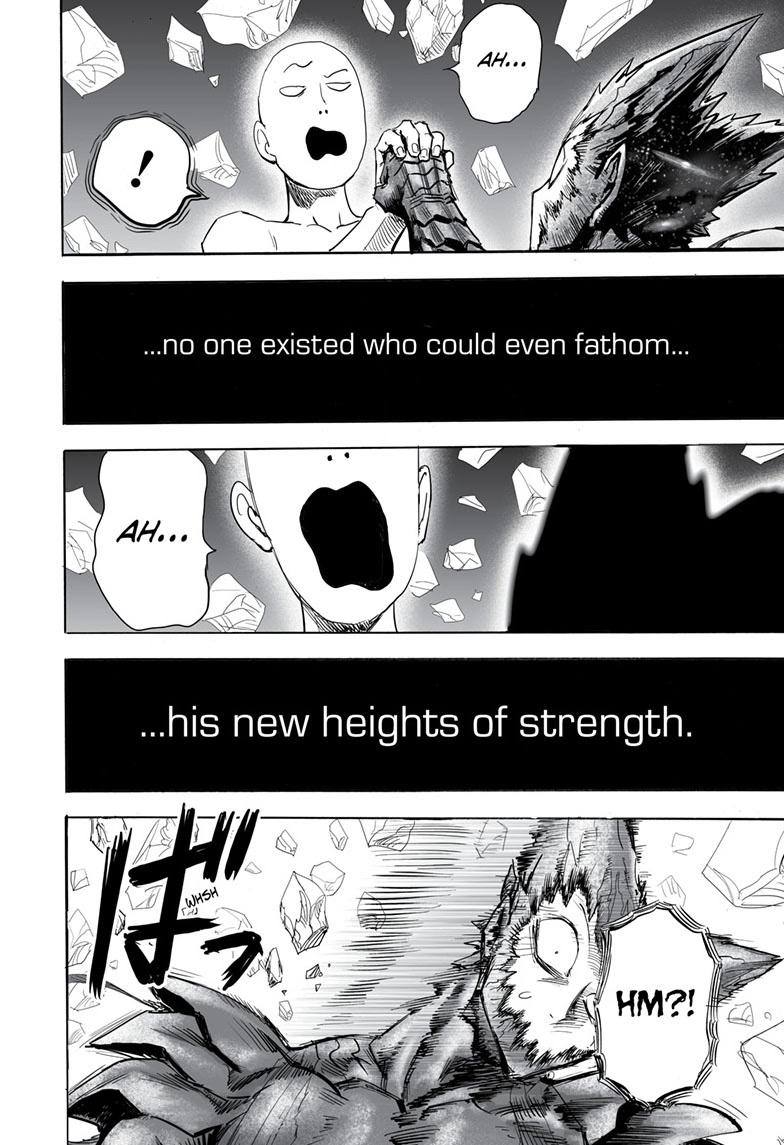 Read One Punch Man chapter 165.9 image 18 on Lezhin