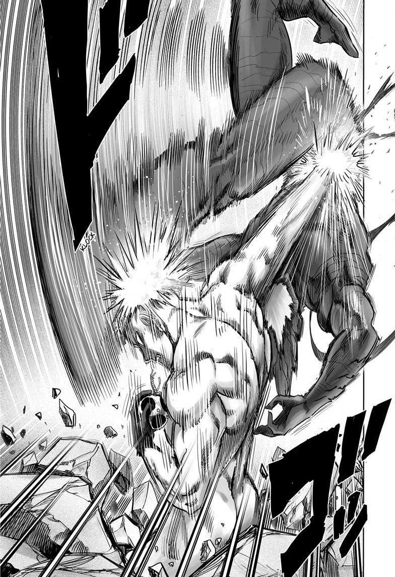 Read One Punch Man chapter 165.9 image 5 on Lezhin