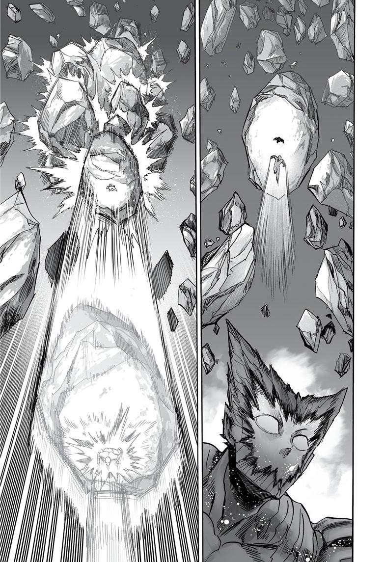 Read One Punch Man chapter 165.9 image 7 on Lezhin