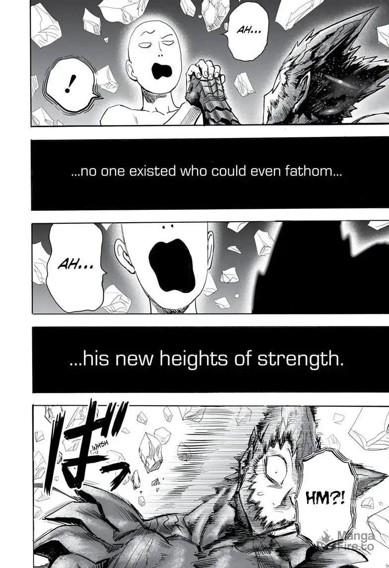 Read One Punch Man chapter 166 image 17 on Lezhin