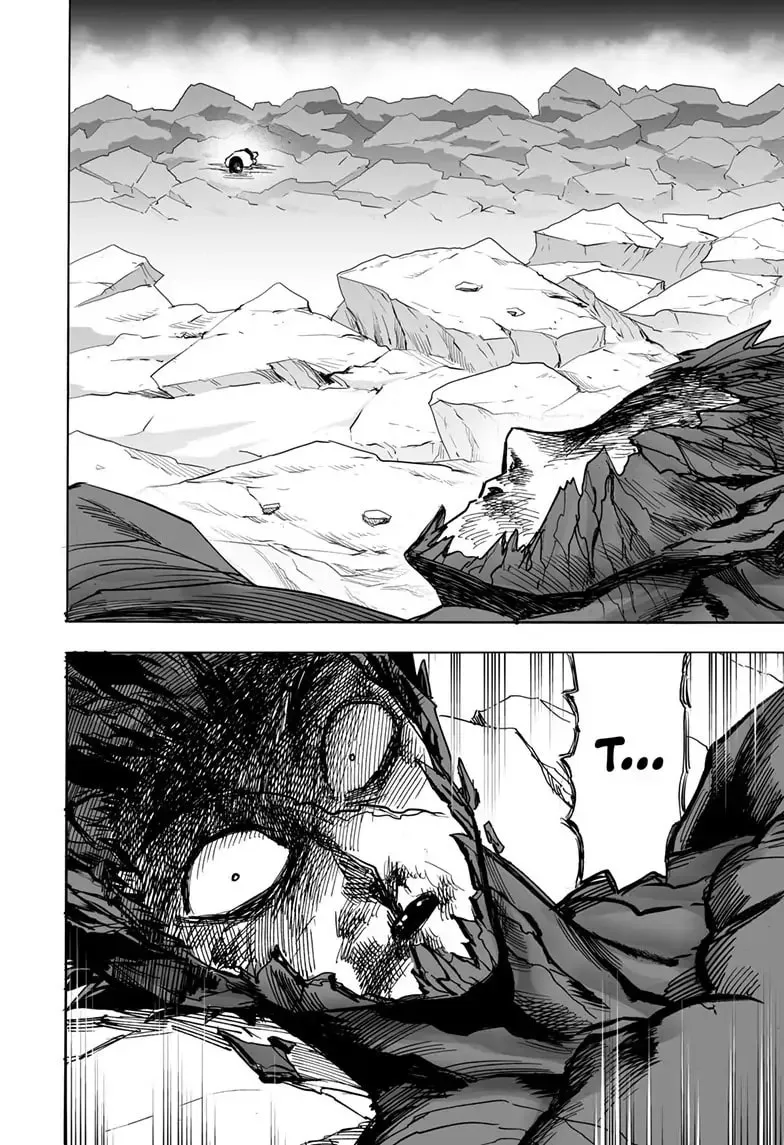 Read One Punch Man chapter 166 image 36 on Lezhin