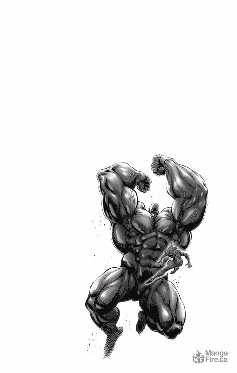 Read One Punch Man chapter 167.5 image 34 on Lezhin