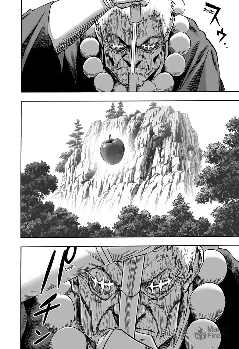 Read One Punch Man chapter 186 image 14 on Lezhin