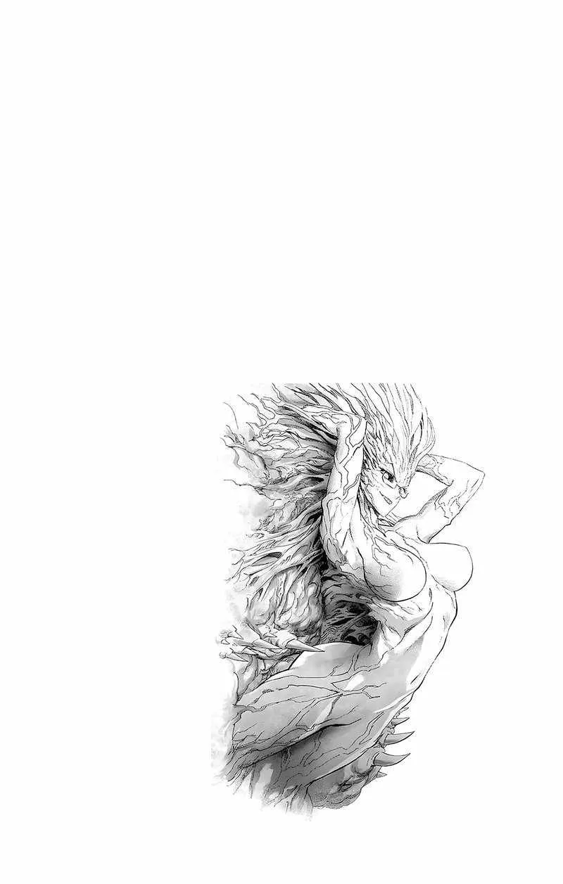 Read One Punch Man chapter 187.1 image 14 on Lezhin