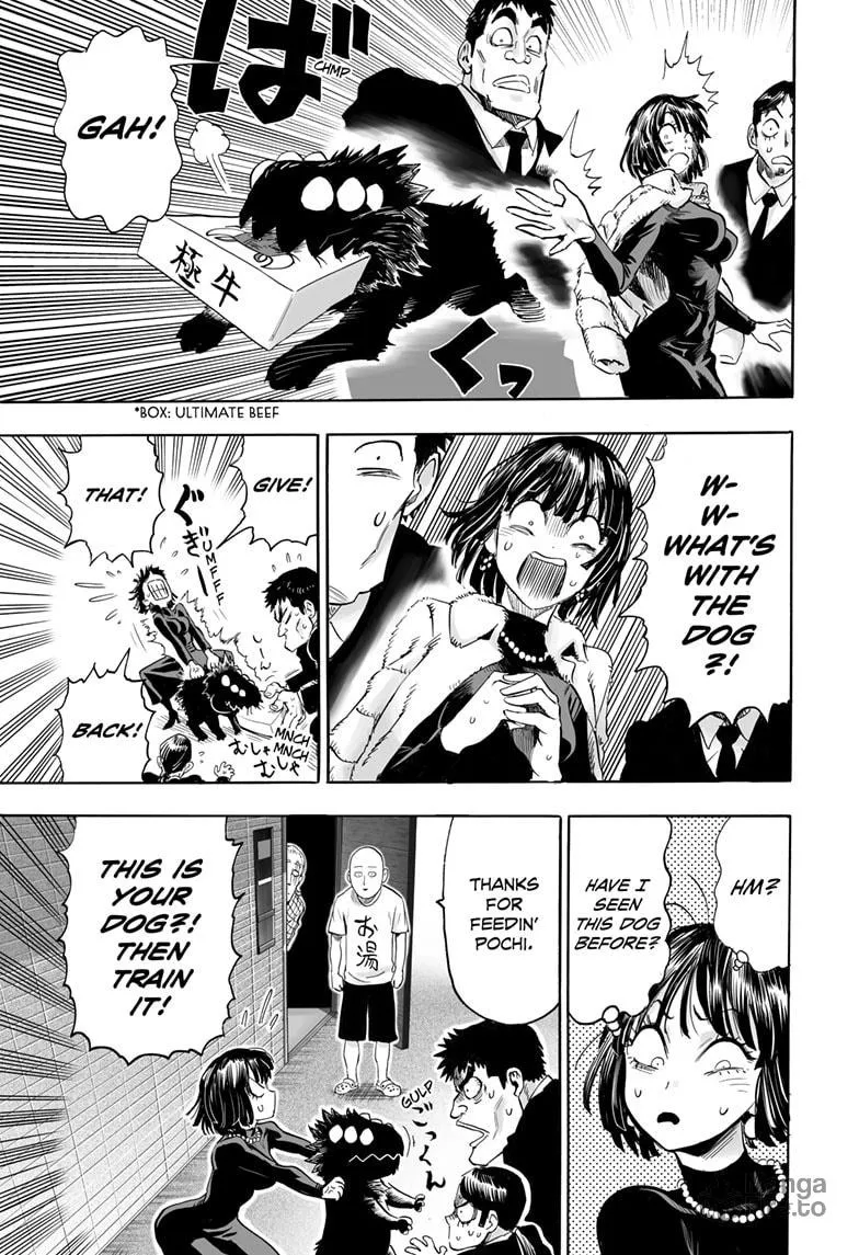 Read One Punch Man chapter 190 image 32 on Lezhin