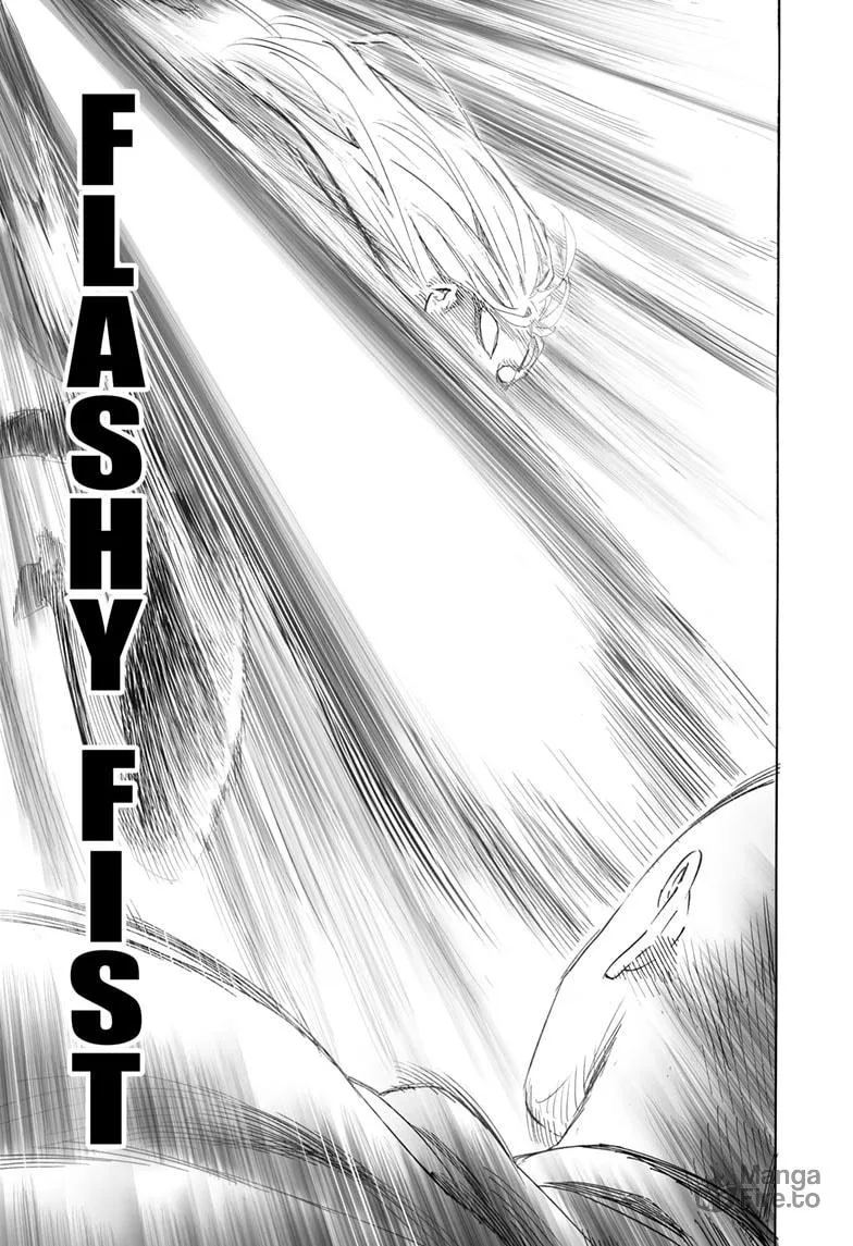Read One Punch Man chapter 192 image 9 on Lezhin