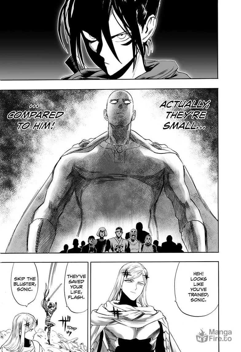 Read One Punch Man chapter 195 image 17 on Lezhin