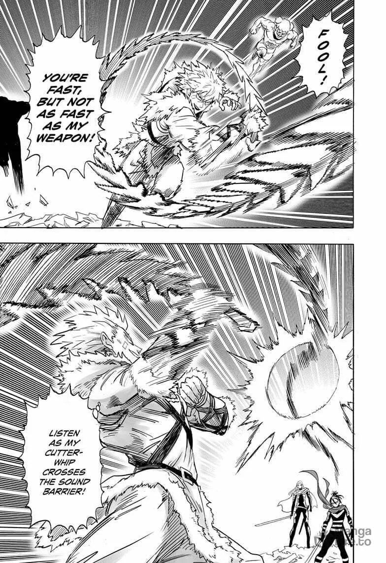 Read One Punch Man chapter 197.1 image 2 on Lezhin