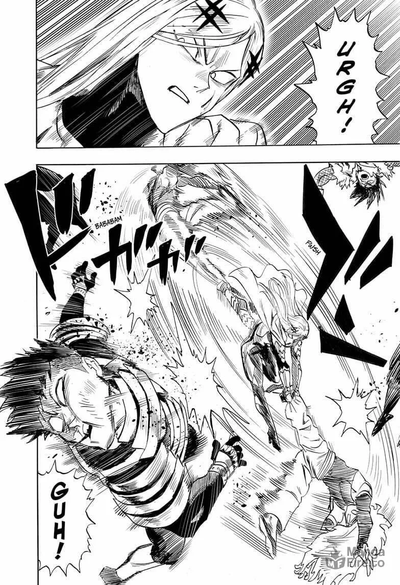 Read One Punch Man chapter 197.1 image 8 on Lezhin