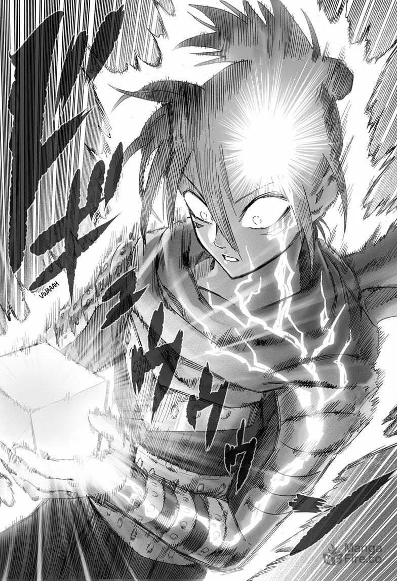 Read One Punch Man chapter 198.1 image 9 on Lezhin