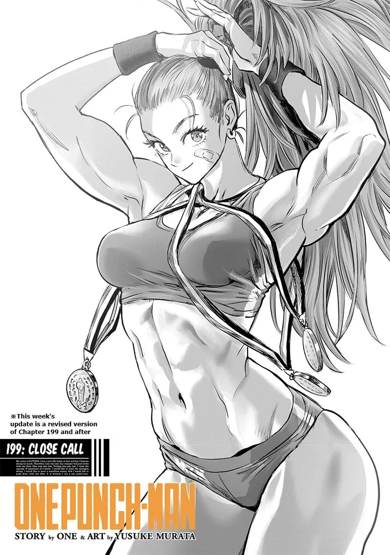 Read One Punch Man chapter 199.5 image 1 on Lezhin