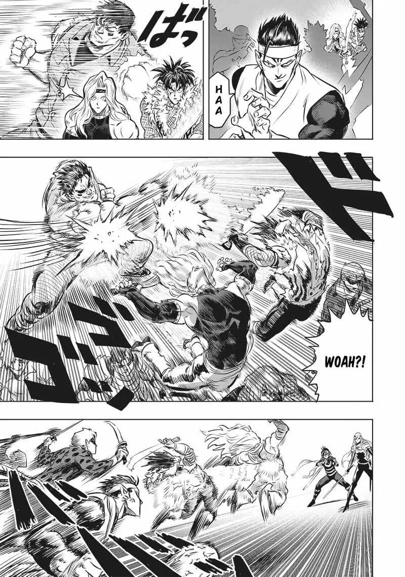 Read One Punch Man chapter 199.5 image 13 on Lezhin