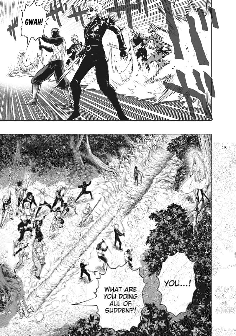 Read One Punch Man chapter 199.5 image 7 on Lezhin