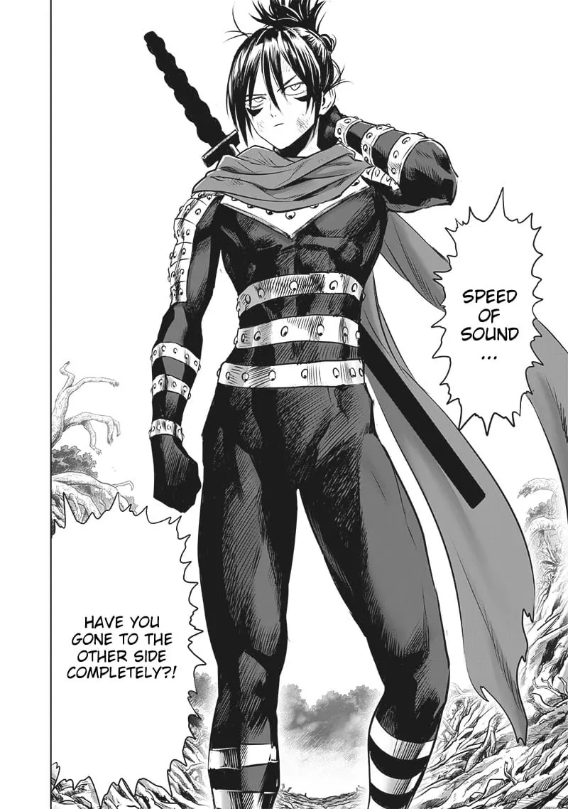 Read One Punch Man chapter 199.5 image 8 on Lezhin